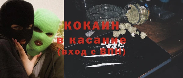 ПСИЛОЦИБИНОВЫЕ ГРИБЫ Верея