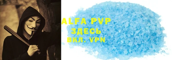 ПСИЛОЦИБИНОВЫЕ ГРИБЫ Верея