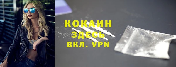 ПСИЛОЦИБИНОВЫЕ ГРИБЫ Верея