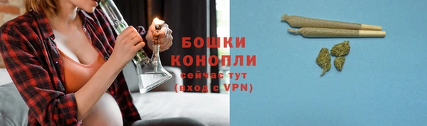ПСИЛОЦИБИНОВЫЕ ГРИБЫ Верея