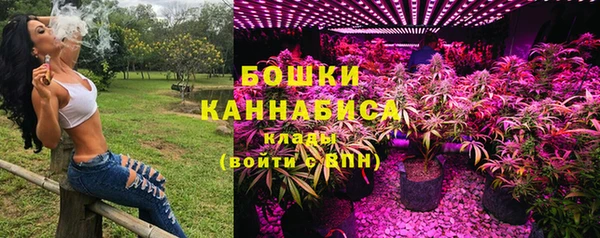 ПСИЛОЦИБИНОВЫЕ ГРИБЫ Верея
