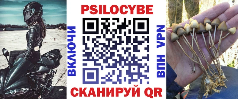 Купить  Починок  Псилоцибиновые грибы мицелий 